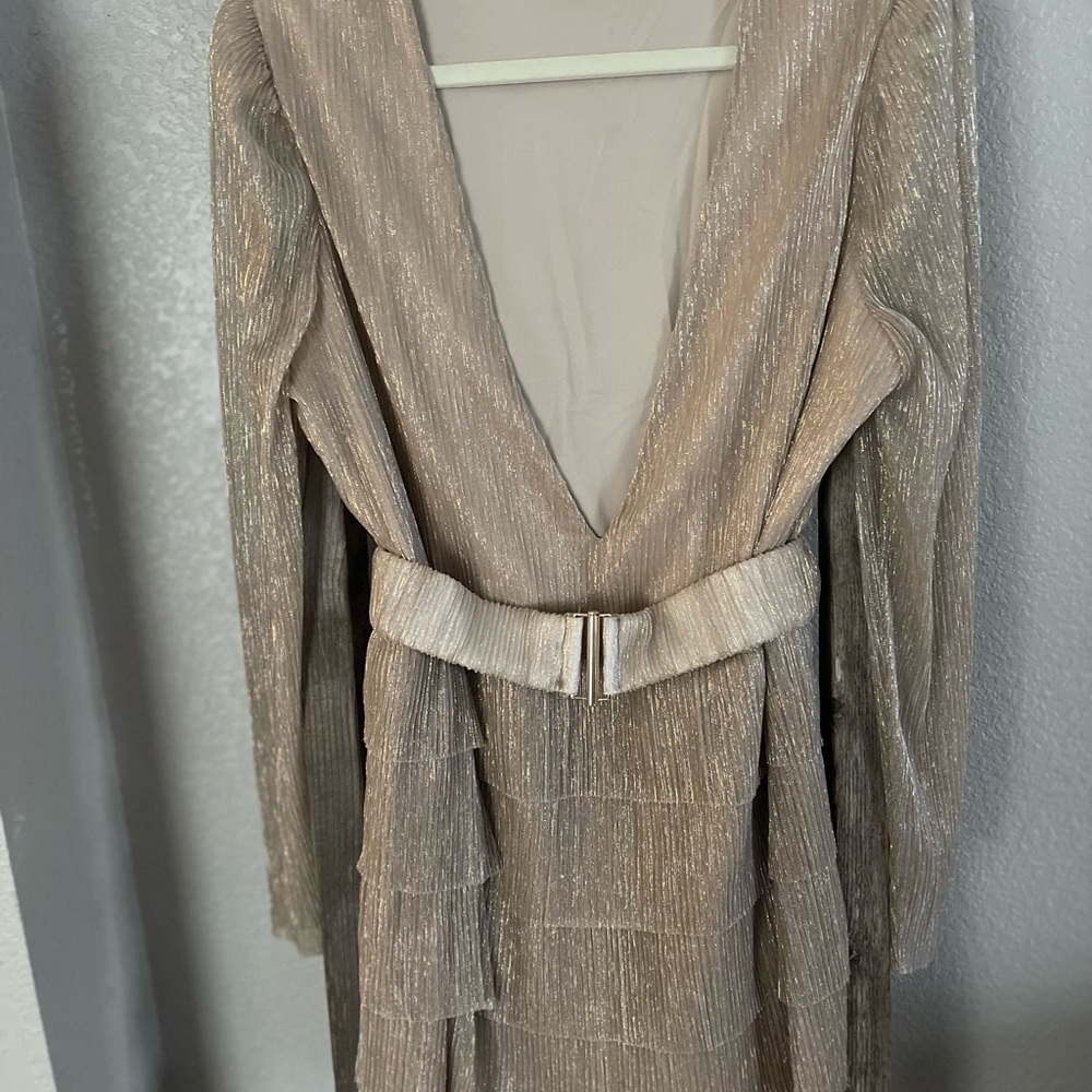 Elegant Metallic Long Sleeve Dress